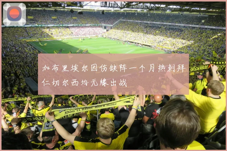 加布里埃尔因伤缺阵一个月热刺拜仁切尔西均无缘出战