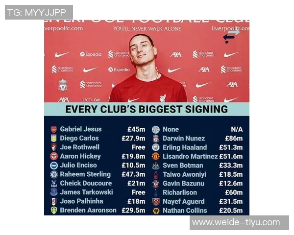 英超夏窗最差转会评选结果出炉舍什科高票当选第一